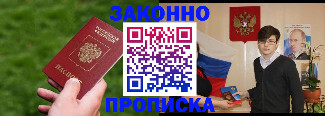 найти адрес прописки в Камышине