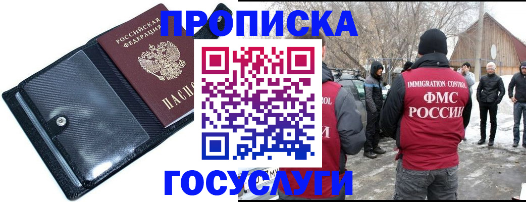 регистрация в Камышине